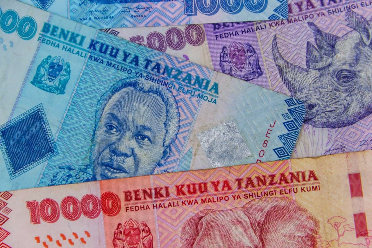 Tanzanie : la Banque centrale interdit l’usage de devises étrangères dans les transactions locales